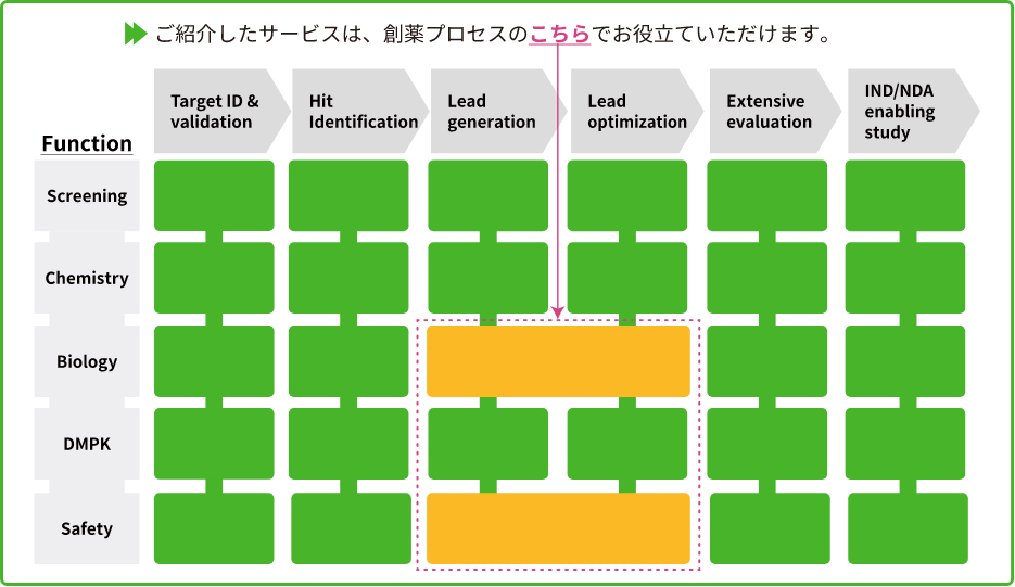創薬プロセス