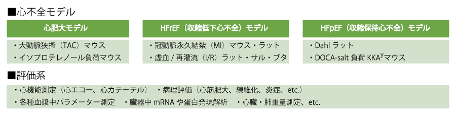 心不全治療薬の創薬 - Axcelead Drug Discovery Partners株式会社