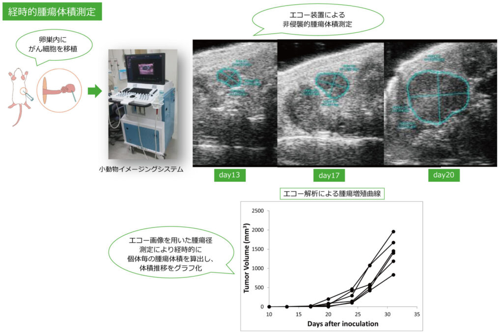 がん同所性移植モデルマウスの作製とin vivo評価 - Axcelead Drug